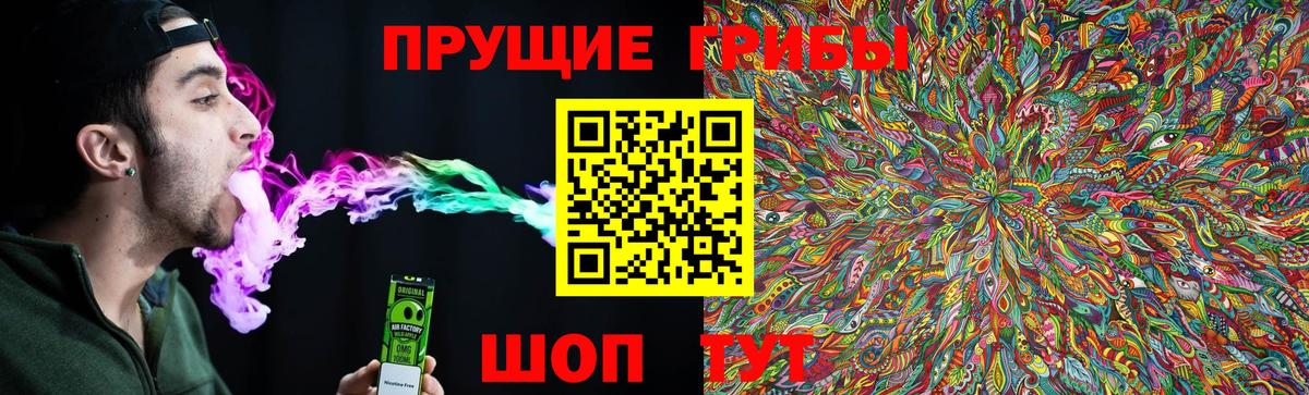 Псилоцибиновые грибы GOLDEN TEACHER  Псилоцибиновые грибы MAGIC MUSHROOMS  Вход с VPN  Вязники 