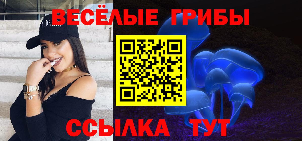 Галлюциногенные грибы Psilocybine cubensis Вязники